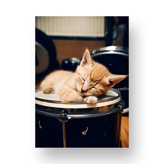 Drums Poster - Animal 6