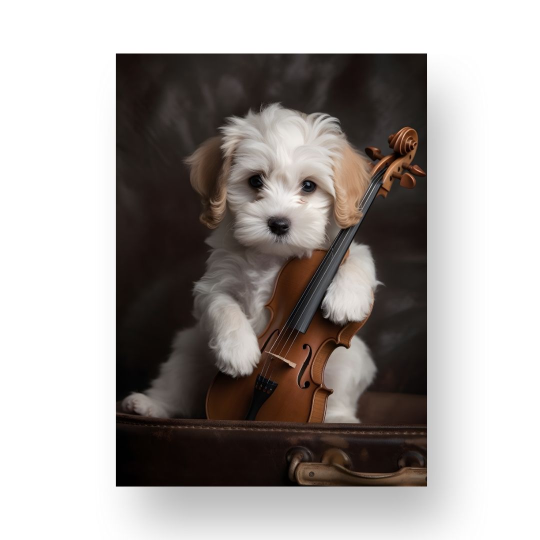 Violin Poster - Animal 5