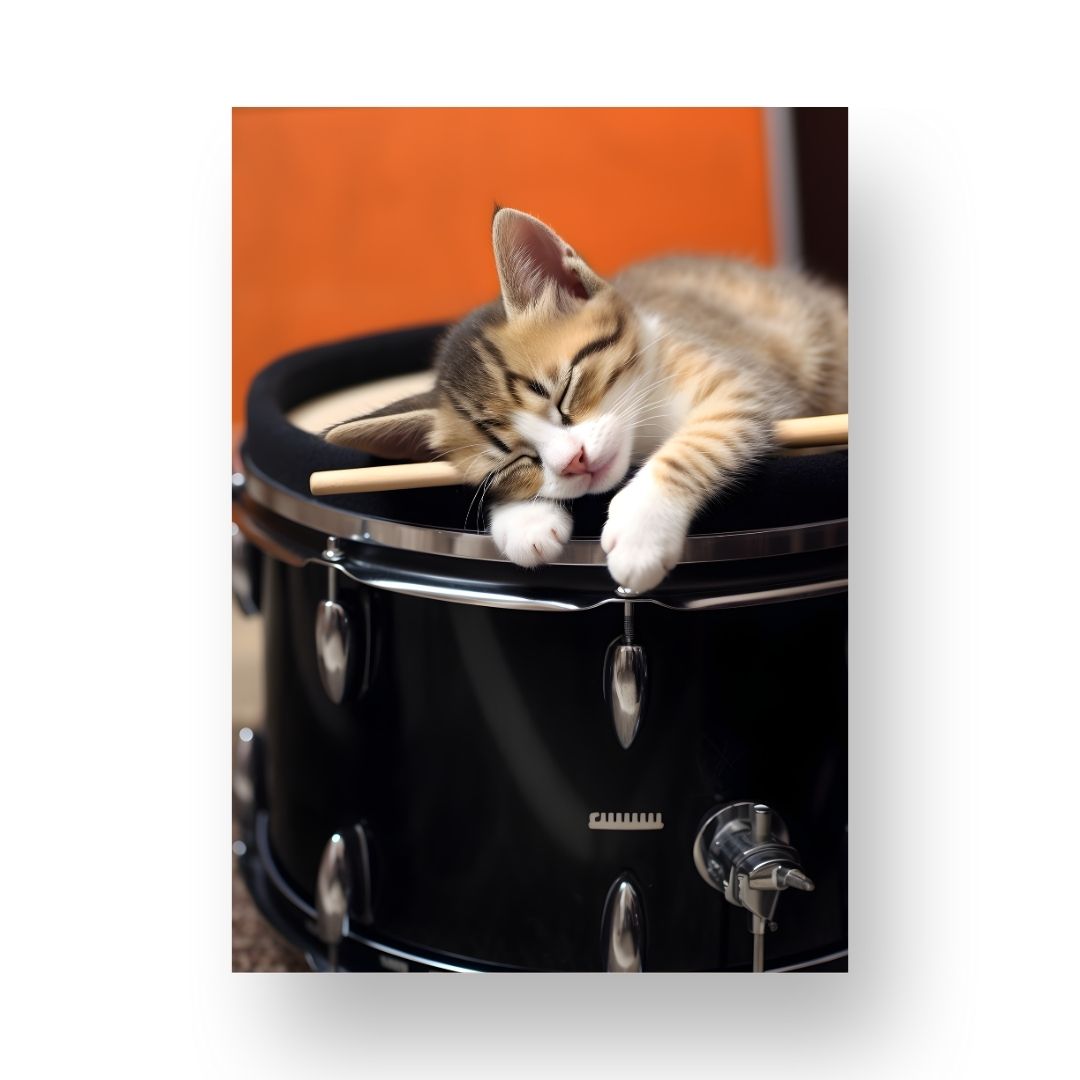 Drums Poster - Animal 7